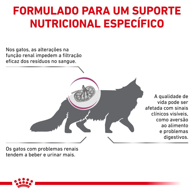 Royal Canin VET Renal Select - Ração seca para gato com doença renal