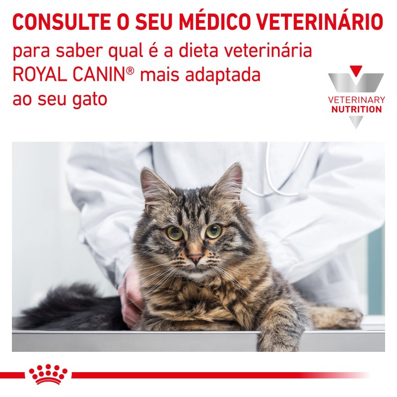 Royal Canin VET Renal Select - Ração seca para gato com doença renal