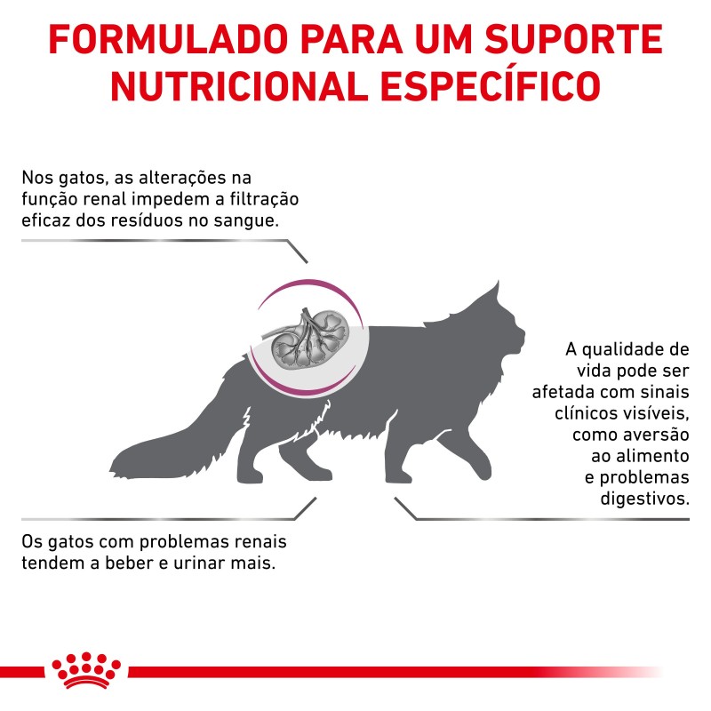 Royal Canin VET Renal Special - Ração seca para gato com doença renal