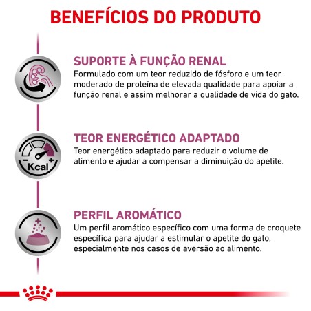 Royal Canin VET Renal Special - Ração seca para gato com doença renal