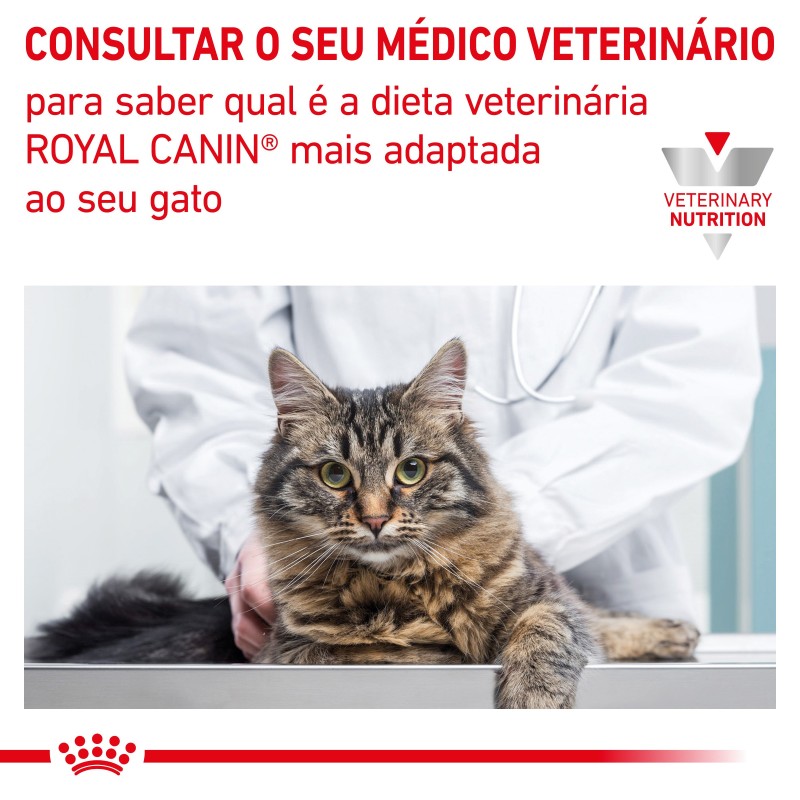 Royal Canin VET Urinary S/O - Ração seca para gato adulto com problemas urinários