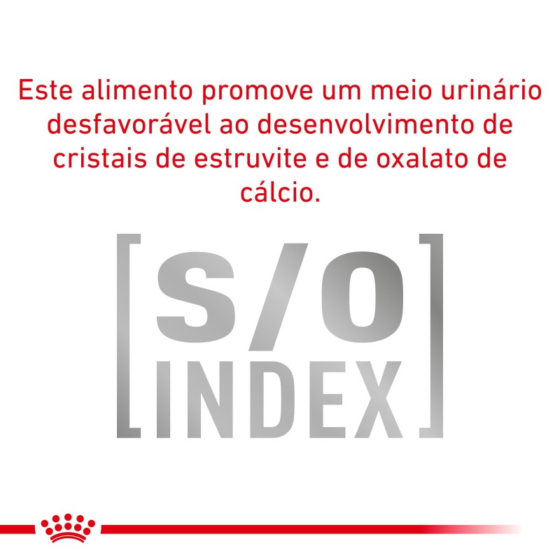 Royal Canin VET Urinary S/O - Ração seca para gato adulto com problemas urinários