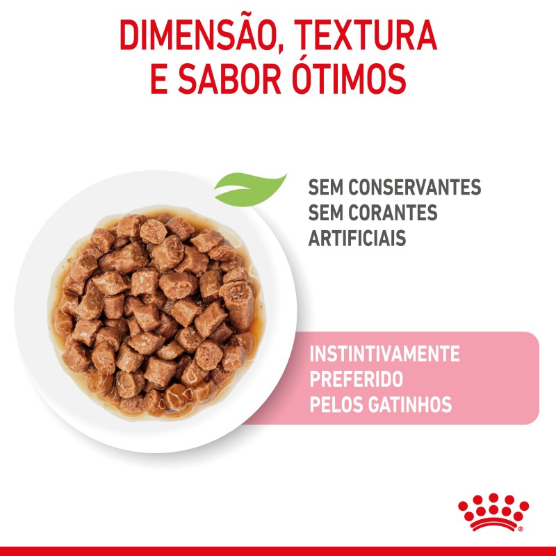 Royal Canin Kitten - Alimento em molho para gatinhos