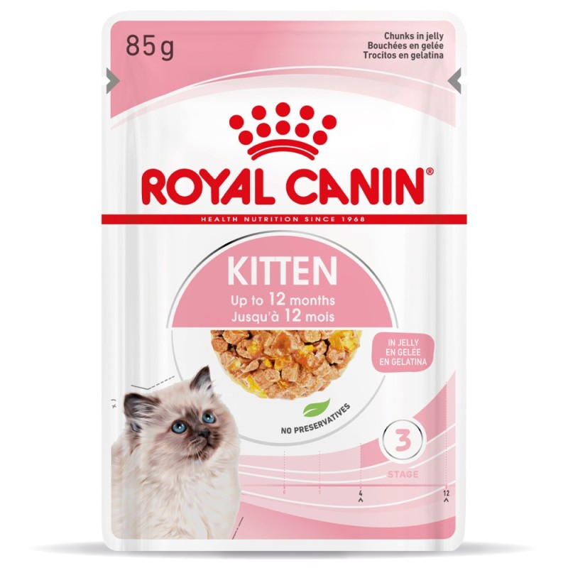 Royal Canin Kitten - Alimento húmido pedaços em geleia para gatinhos