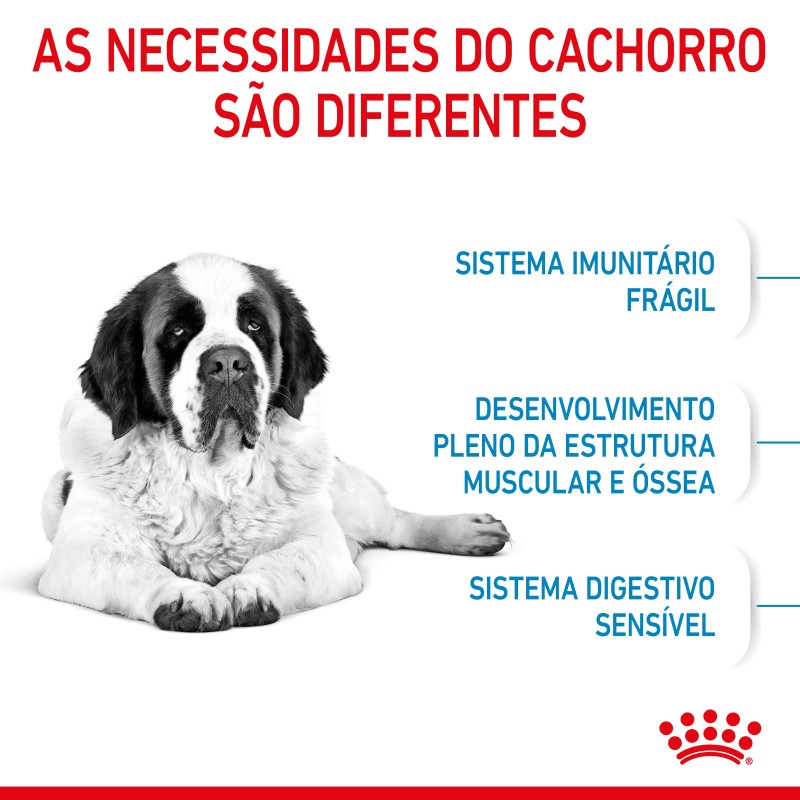 Royal Canin Junior Giant - Ração seca para cachorro de porte gigante