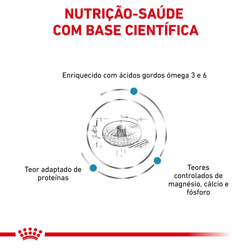 Royal Canin VET Skin & Coat - Ração seca para gato com dermatite e queda de pelo