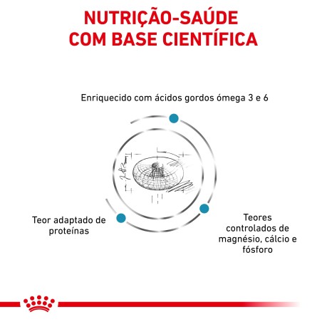 Royal Canin VET Skin & Coat - Ração seca para gato com dermatite e queda de pelo