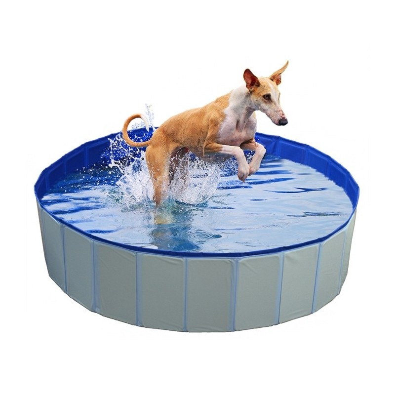 Piscina para cães - Duvo Plus