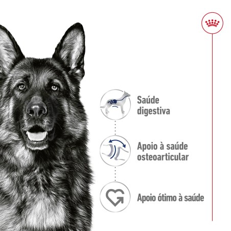 Royal Canin Maxi Adult - Alimento em molho para cão de porte grande