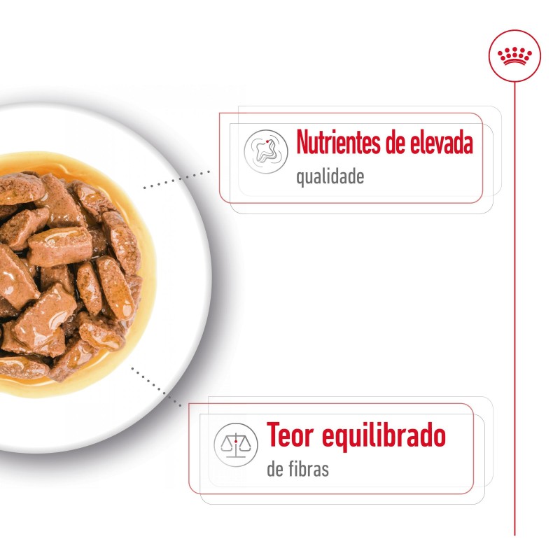 Royal Canin Maxi Adult - Alimento em molho para cão de porte grande