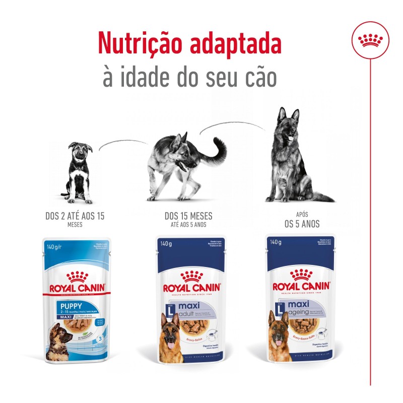 Royal Canin Maxi Adult - Alimento em molho para cão de porte grande