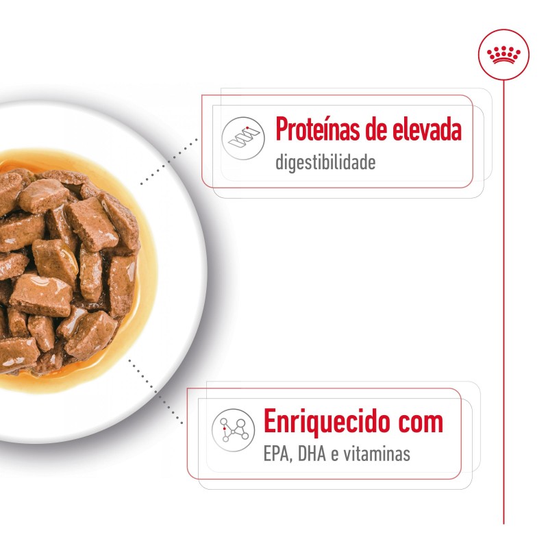 Royal Canin Maxi Ageing 8+ - Alimento em molho para cão de porte grande com mais de 8 anos