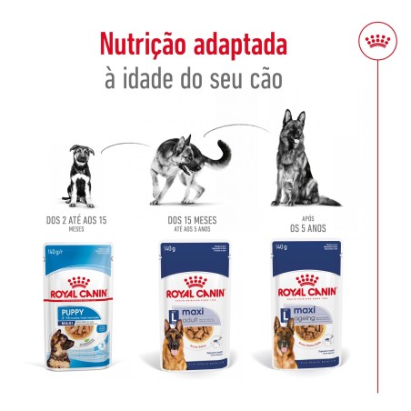 Royal Canin Maxi Ageing 8+ - Alimento em molho para cão de porte grande com mais de 8 anos