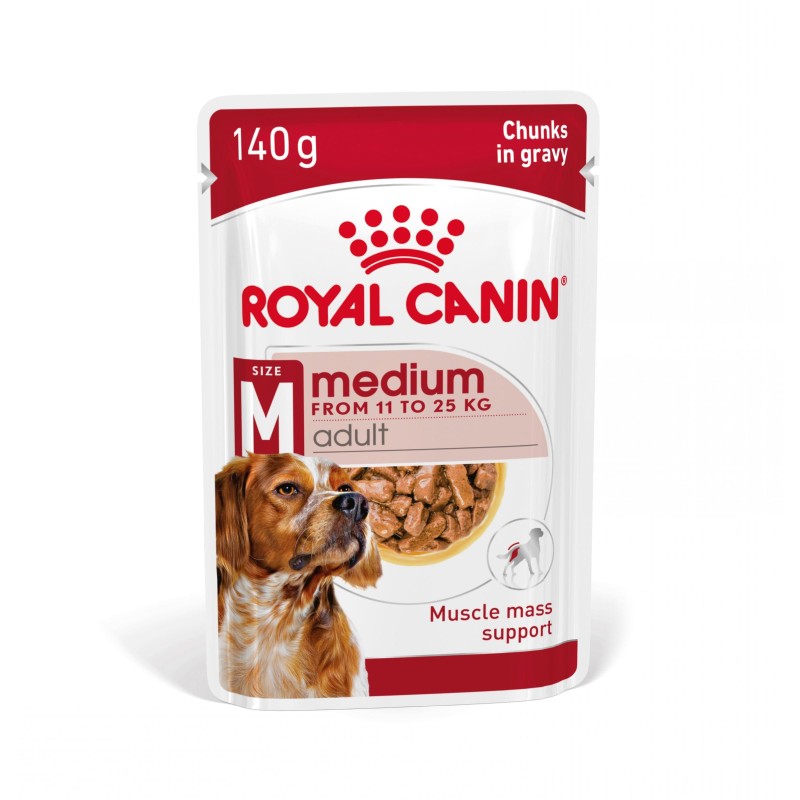 Royal Canin Medium Adult - Alimento em molho para cão de porte médio