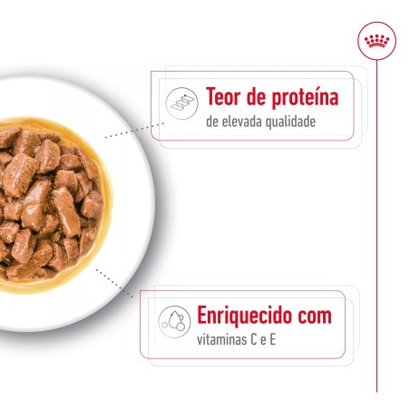 Royal Canin Medium Adult - Alimento em molho para cão de porte médio