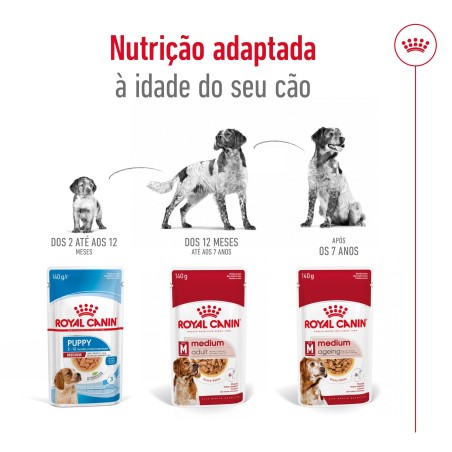 Royal Canin Medium Adult - Alimento em molho para cão de porte médio