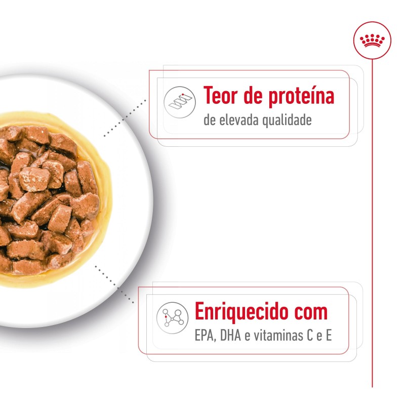 Royal Canin Medium Ageing 10+ - Alimento em molho para cão de porte médio com mais de 10 anos