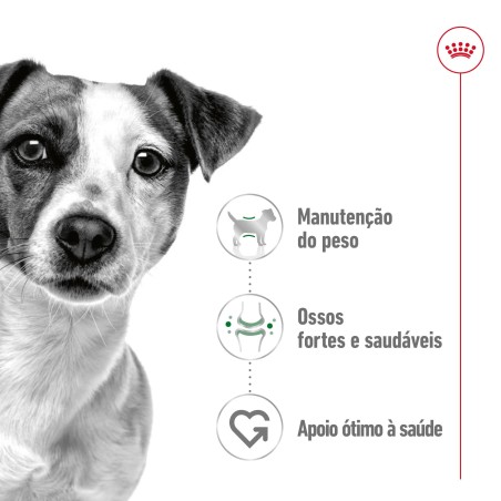 Royal Canin Mini Adult - Alimento em molho para cão de porte pequeno