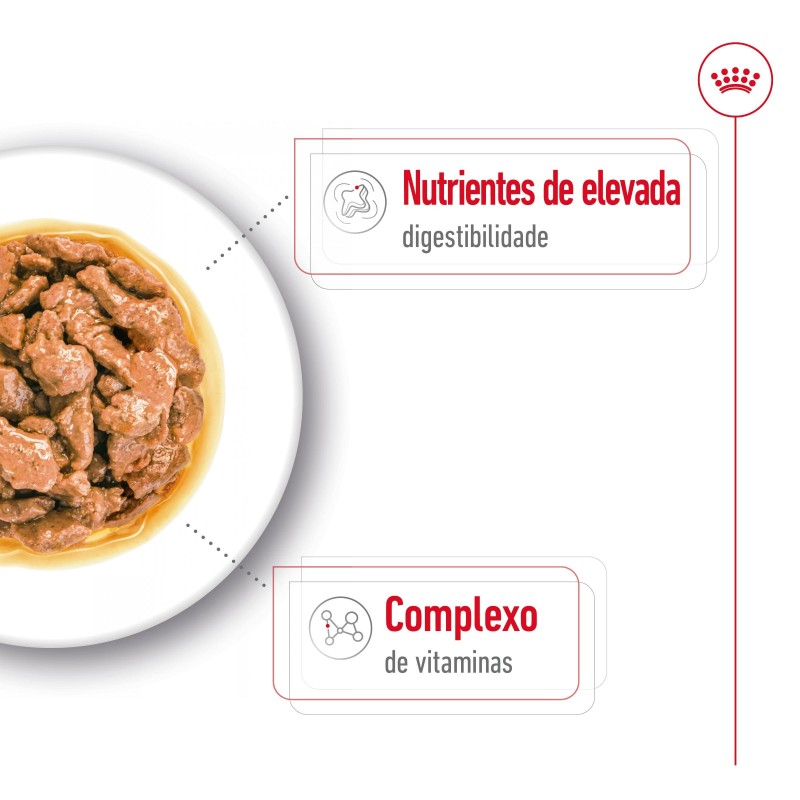 Royal Canin Mini Adult - Alimento em molho para cão de porte pequeno