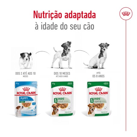 Royal Canin Mini Adult - Alimento em molho para cão de porte pequeno