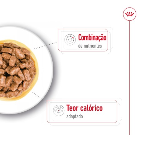 Royal Canin Mini Ageing 12+ - Alimento em molho para cão de porte pequeno com mais de 12 anos