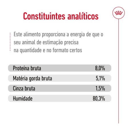 Royal Canin Mini Ageing 12+ - Alimento em molho para cão de porte pequeno com mais de 12 anos