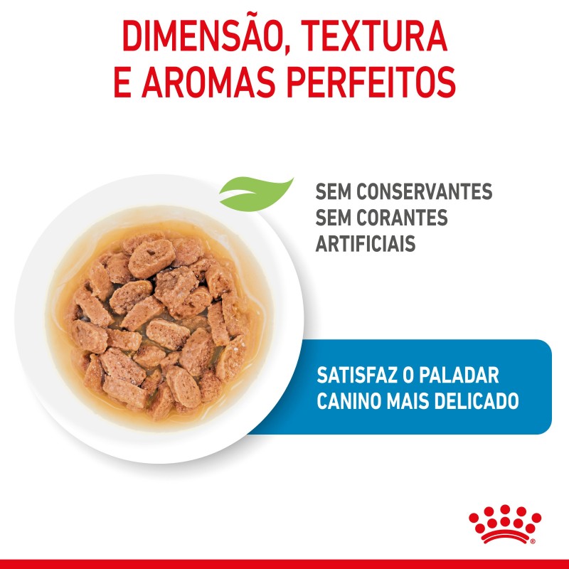 Royal Canin Puppy Mini - Alimento em molho para cachorro de porte mini