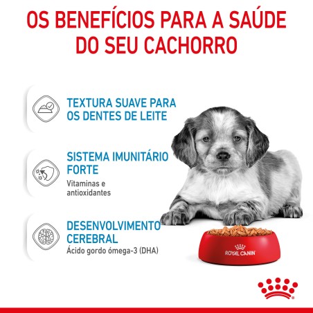 Royal Canin Puppy Medium - Alimento em molho para cachorro de porte médio