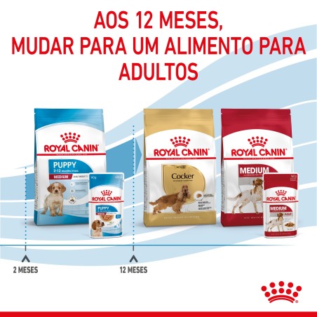 Royal Canin Puppy Medium - Alimento em molho para cachorro de porte médio