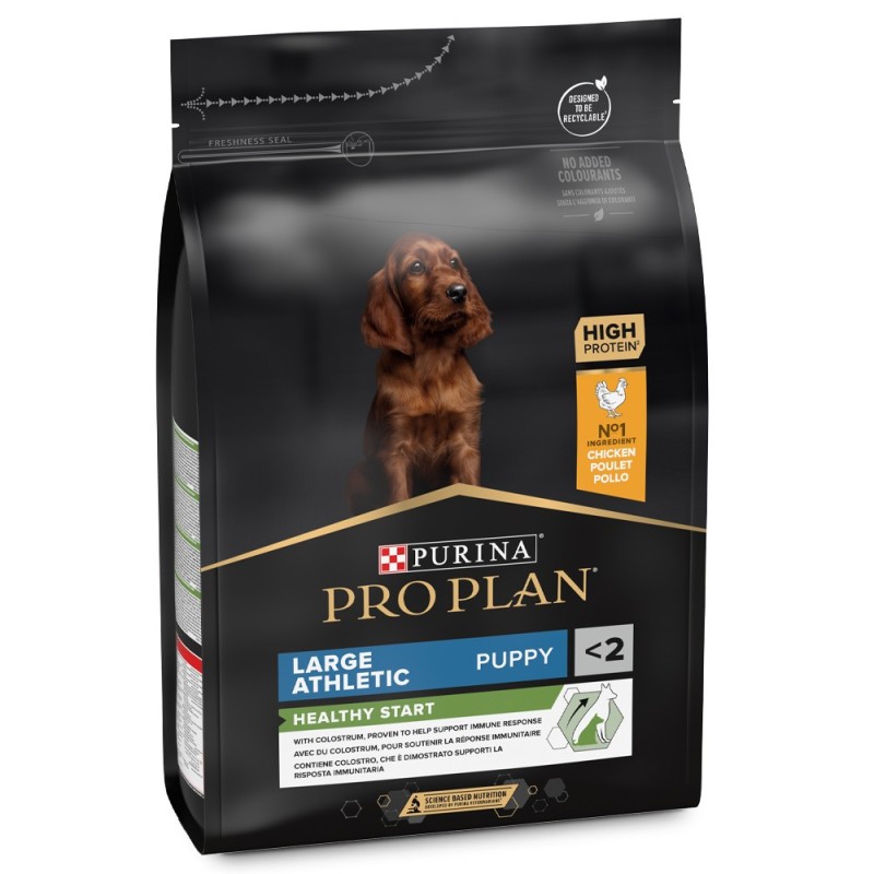 Pro Plan Healthy Start Large Athletic Puppy - Ração seca para cachorro grande - Frango