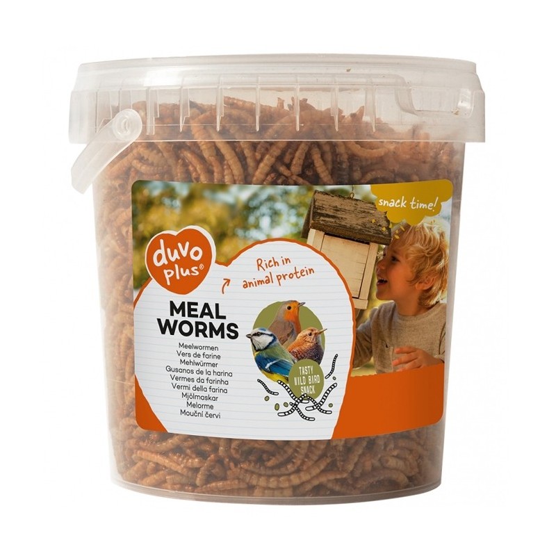 Meal Worms Snacks para pássaros selvagens - Duvo Plus