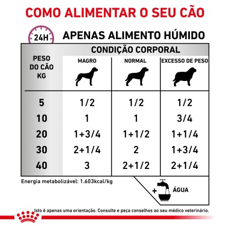 Royal Canin VET Renal Special - Alimento em patê para cão adulto com doença renal