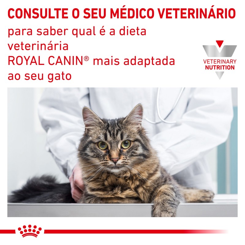 Royal Canin VET Urinary S/O - Alimento em molho para gato com problemas urinários