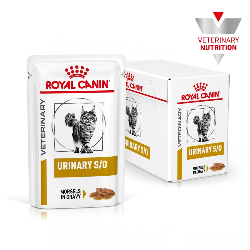 Royal Canin VET Urinary S/O - Alimento em molho para gato com problemas urinários