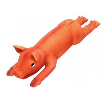 Leitão em Latex