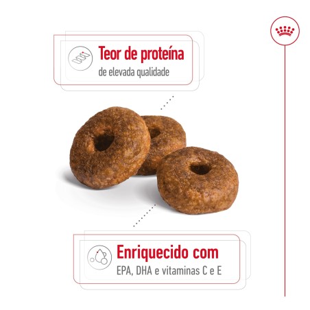 Royal Canin Medium Ageing 10+  - Ração seca para cão sénior de porte médio com mais de 10 anos