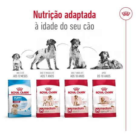 Royal Canin Medium Ageing 10+  - Ração seca para cão sénior de porte médio com mais de 10 anos