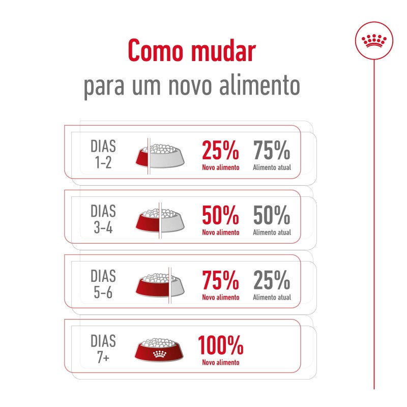 Royal Canin Medium Ageing 10+  - Ração seca para cão sénior de porte médio com mais de 10 anos