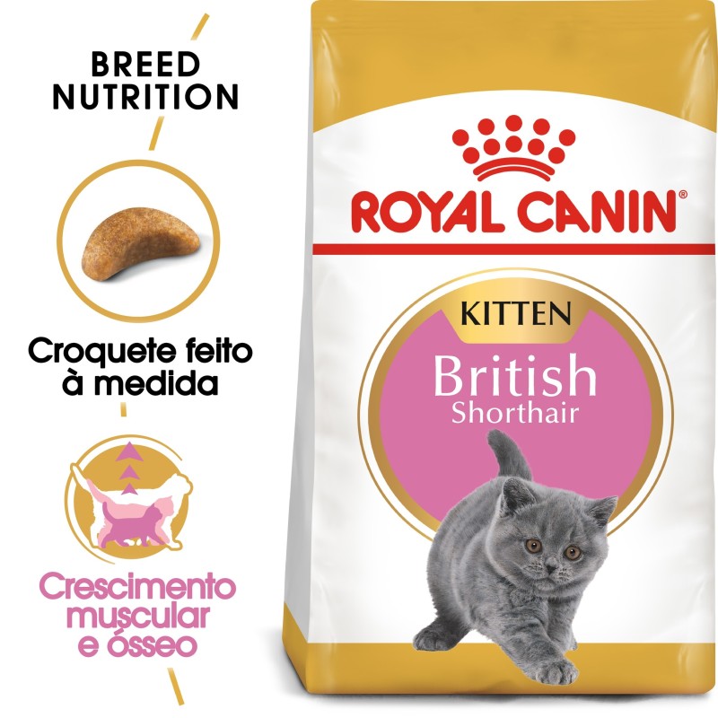 Royal Canin British Shorthair Kitten - Ração seca para gatinhos de raça