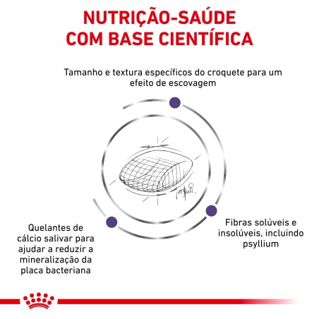 Royal Canin VET Dental - Ração seca para gato adulto para a saúde dentária