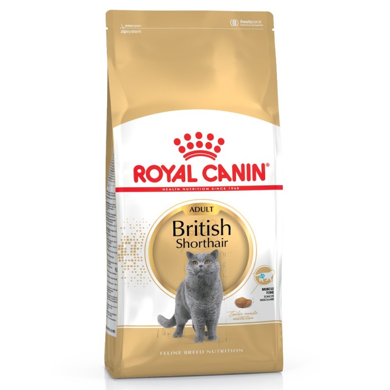 Royal Canin British Shorthair Adult - Ração seca para gato de raça