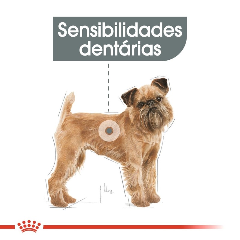 Royal Canin Dental Care Mini Adult - Ração seca para cão de porte pequeno com sensibilidade oral