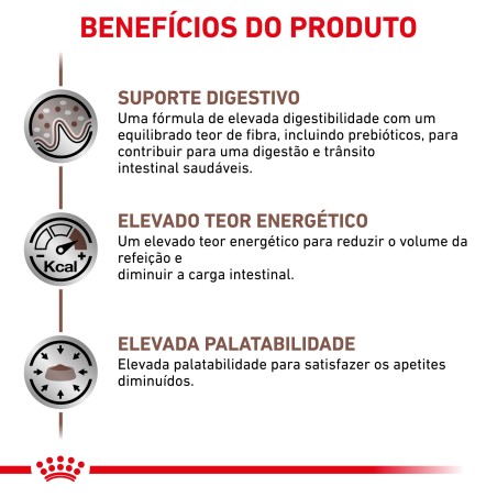 Royal Canin VET Gastrointestinal - Alimento em molho para gato adulto com problemas digestivos