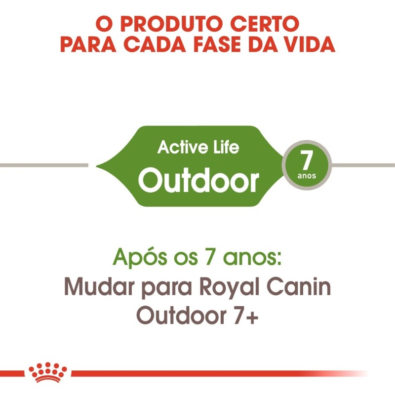 Royal Canin Outdoor Adult - Ração seca para gato de exterior