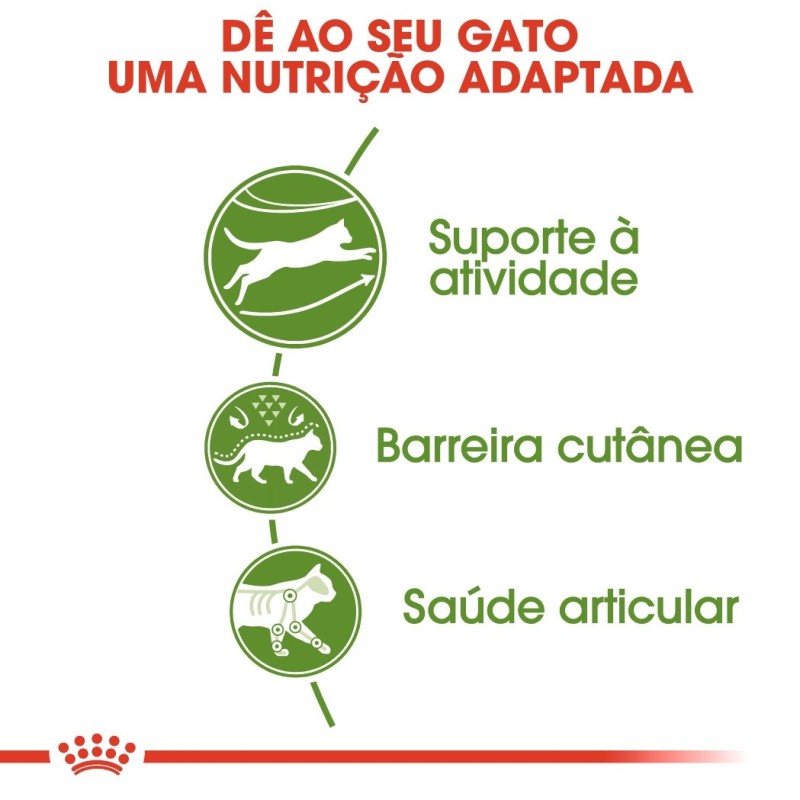 Royal Canin Outdoor Adult - Ração seca para gato de exterior