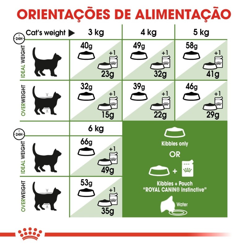 Royal Canin Outdoor Adult - Ração seca para gato de exterior