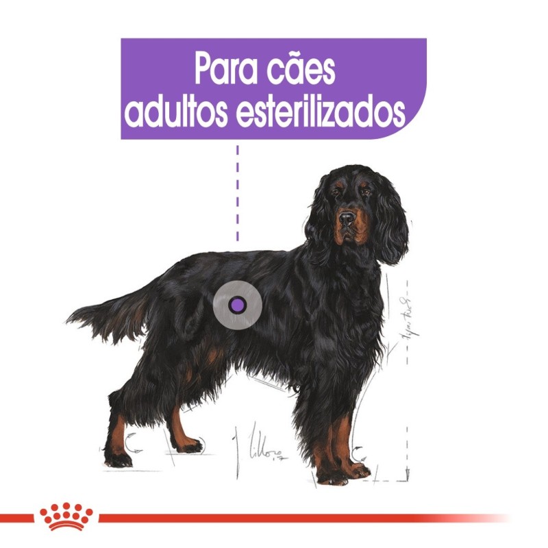 Royal Canin Sterilised Maxi Adult - Ração seca para cão esterilizado de porte grande