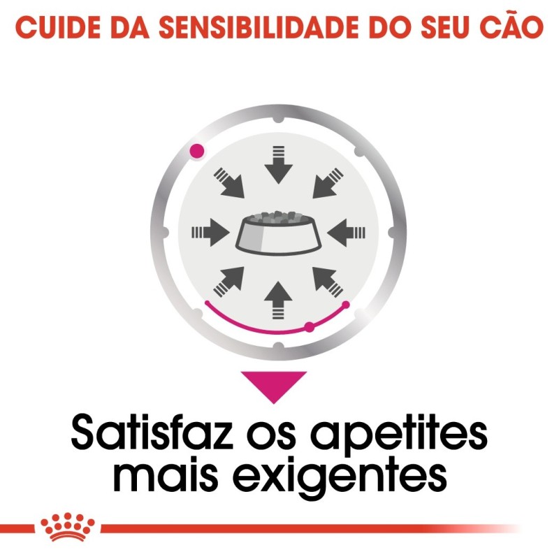 Royal Canin Exigent Adult - Alimento em patê para cão com apetite exigente