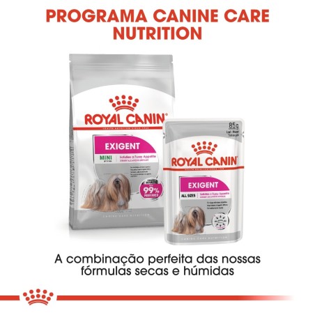 Royal Canin Exigent Adult - Alimento em patê para cão com apetite exigente