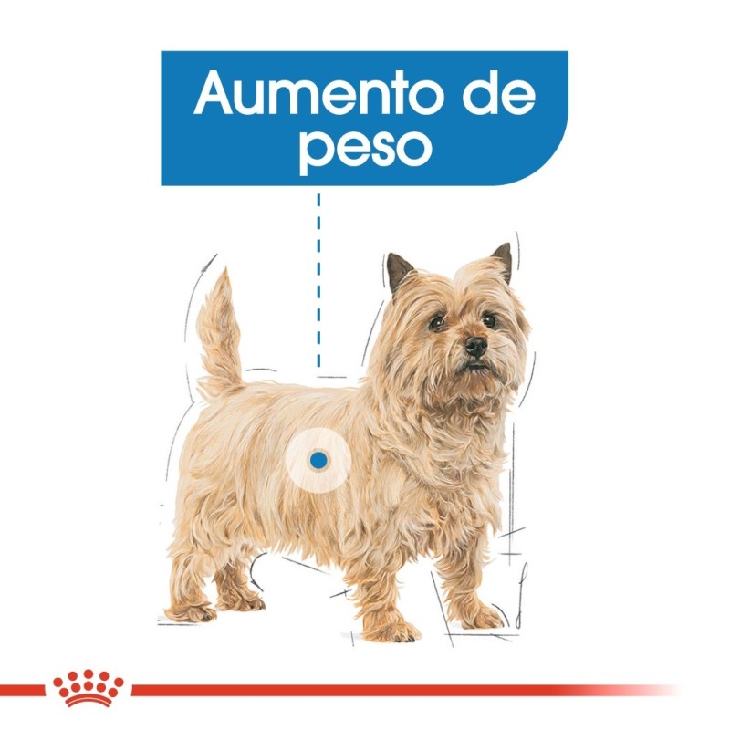 Royal Canin Light Weight Care - Alimento em patê para cão com excesso de peso